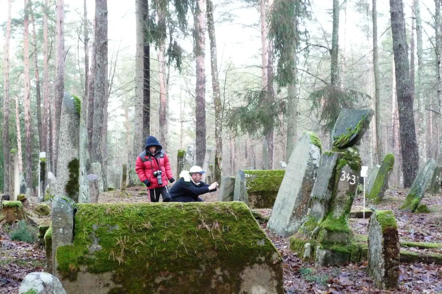 reminisce the past during a genealogical ancestry tour