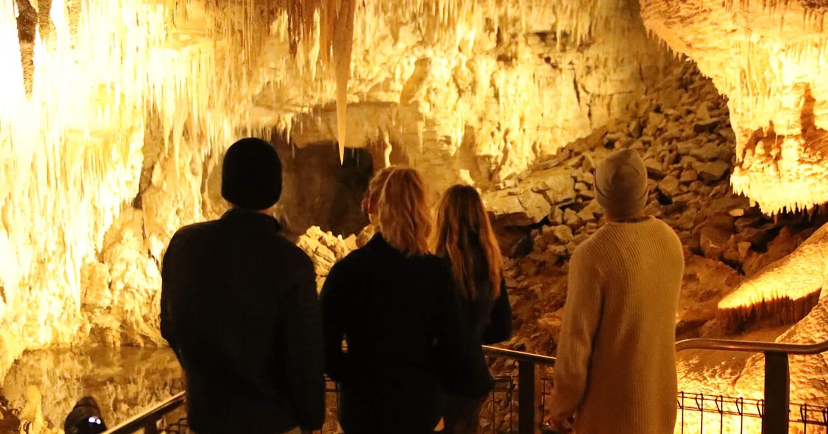 Waitomo Grotten Vanuit Auckland: Waitomo Grotten met gloeiwormen & Rotorua Tour ...