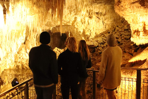 Vanuit Auckland: Dagtrip naar Te Puia &amp; Waitomo Caves