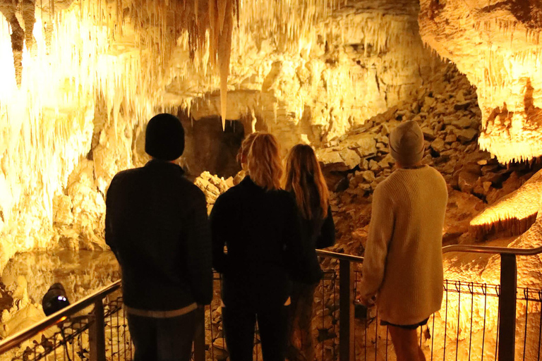 Vanuit Auckland: Dagtrip naar Te Puia &amp; Waitomo Caves