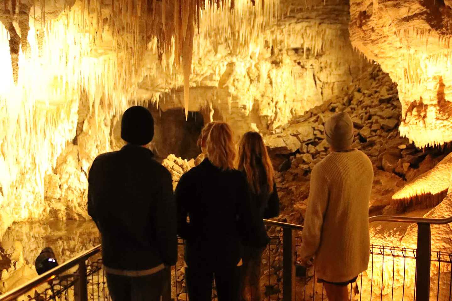 From Auckland: Waitomo Glow Worm Caves & Rotorua Tour - From Auckland: Waitomo Glow Worm Caves & Rotorua Tour