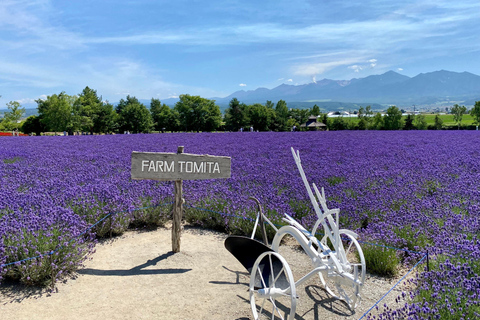 Hokkaido Summer Nature Experience: Furano & Biei