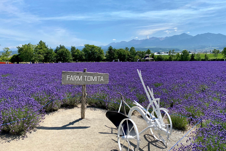 Hokkaido Summer Nature Experience: Furano & Biei