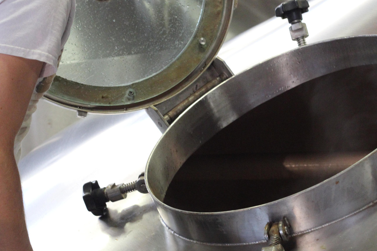 波士顿：波士顿与昆西深度之旅波士顿：波士顿和昆西大游