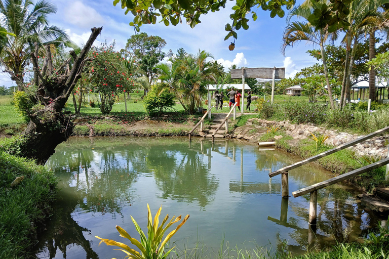 NADI: wycieczka po wykwintnym ogrodzie storczyków z gorącym źródłem i basenem błotnymOdbiór z InterContinental Fiji/Yatule Resort