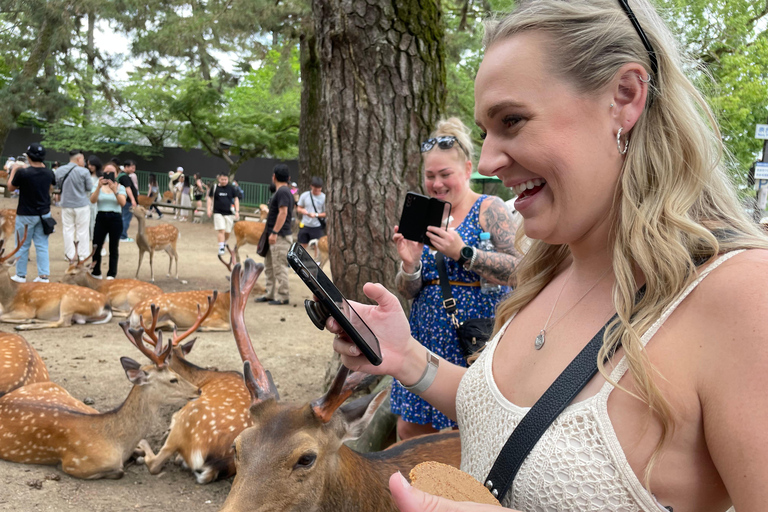 Nara: Halvdag med lokal guide – Big Buddha, hjort, helgedom, skogNara: Halvdag lokal guide- Stora Buddha, hjort, helgedom, skog