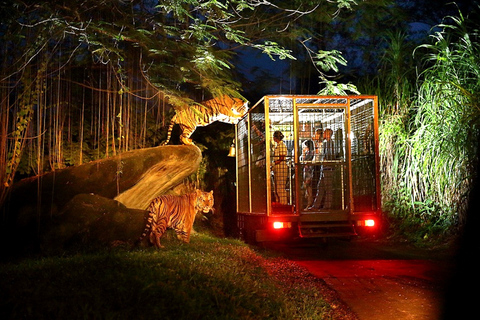 Bali: Retour Transfert privé pour Night Safari