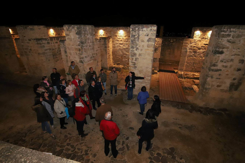 Córdoba: tour guiado de Medina Azahara por la nocheTour guiado de Medina Azahara en español sin transporte