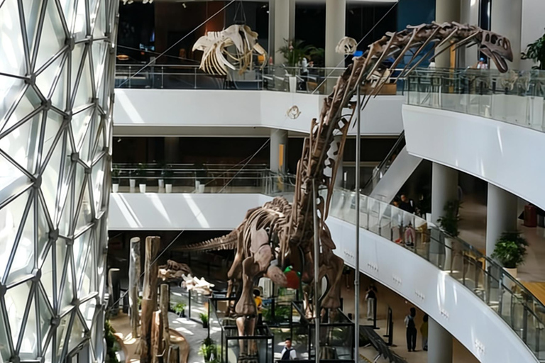 Shanghai Natural History Museum Entry Ticket