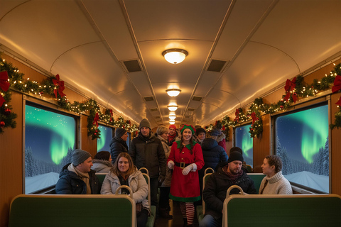 Rovaniemi Insider: Night train in Winter Forest