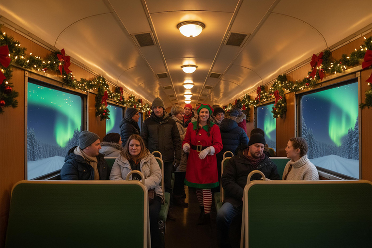 Rovaniemi Insider: Night train in Winter Forest