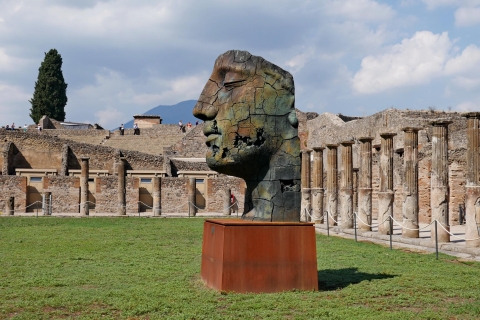 Pompeii en Herculaneum: privétour vanuit Napels