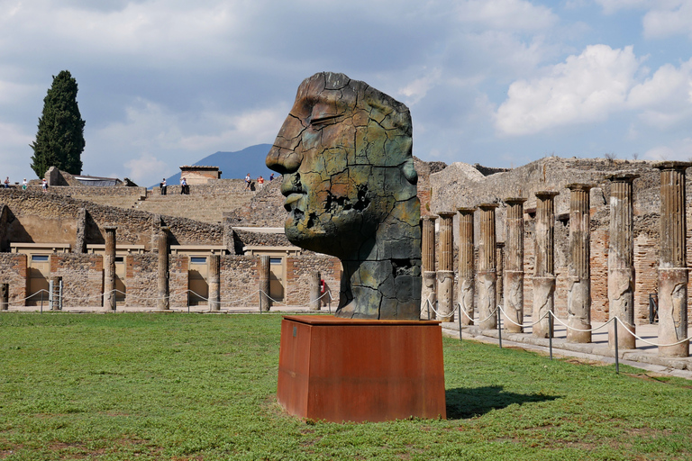 Pompeii en Herculaneum: privétour vanuit Napels