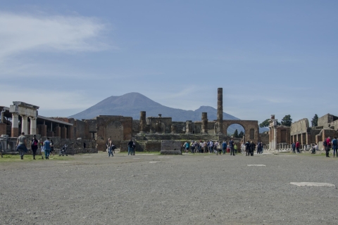 Pompeii en Herculaneum: privétour vanuit Napels
