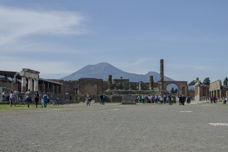 Pompeii en Herculaneum: privétour vanuit Napels