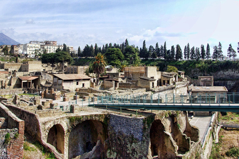 Pompeii and Herculaneum: Private Tour from Naples