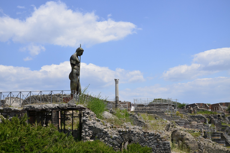 Pompeii en Herculaneum: privétour vanuit Napels