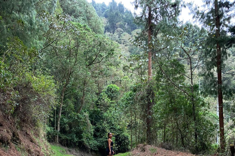 Von Medellín aus: Jardín Private 2-Tages Tour mit Aktivitäten