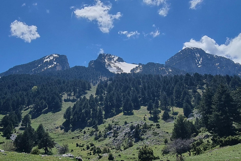 Mount Tomorri summit,hiking on the Holy Mountain
