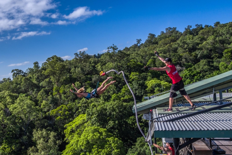 Cairns: Rainforest Bungy JumpBungyjumpen in het regenwoud