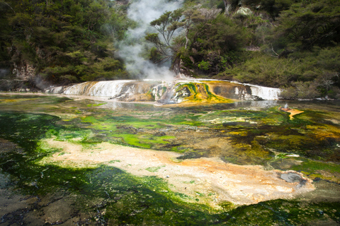 Rotorua: Waimangu Vulcanic Valley Toegangsbewijs