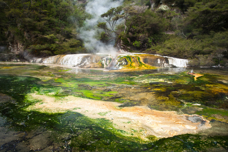 Rotorua : billet d'entrée pour la vallée volcanique de Waimangu