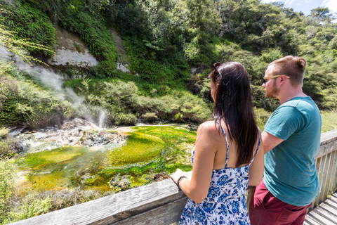 Rotorua: Biglietto d&#039;ingresso per la valle vulcanica di Waimangu