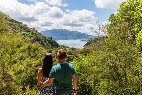 Waimangu Volcanic Valley Entry Ticket