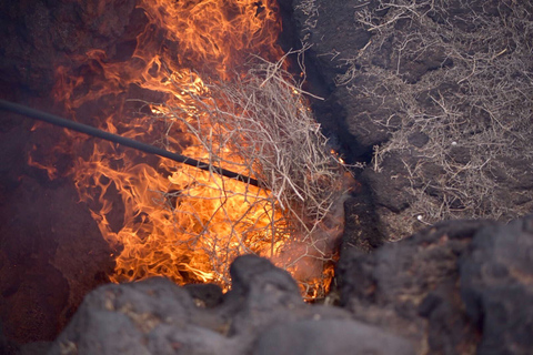 Lanzarote: excursão sul de 5 horas ao Parque Nacional de TimanfayaLanzarote: excursão sulista de 5 horas no Parque Nacional de Timanfaya