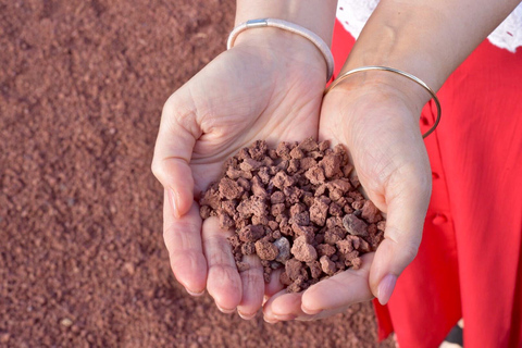 Lanzarote: 5-Hour Timanfaya National Park Southern TourLanzarote: 5 Hour Timanfaya National Park Southern Tour