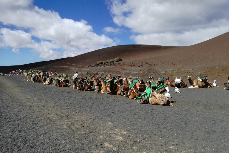 Lanzarote: Tour durch den Nationalpark Timanfaya im SüdenLanzarote: 5 Stunden Timanfaya-Nationalpark Südtour