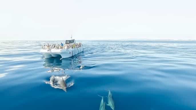 depuis albufeira croisière de 25 h dauphins et grottes