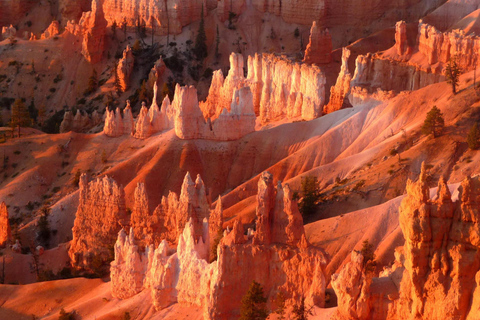 Vegas: 3 Days Antelope Canyon,Bryce, Arches, Monument Valley Double Occupancy