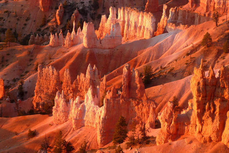 Vegas: 3 Days Antelope Canyon,Bryce, Arches, Monument Valley Double Occupancy