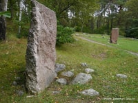 From Stockholm, Viking Culture and Heritage Small Group Tour - Housity