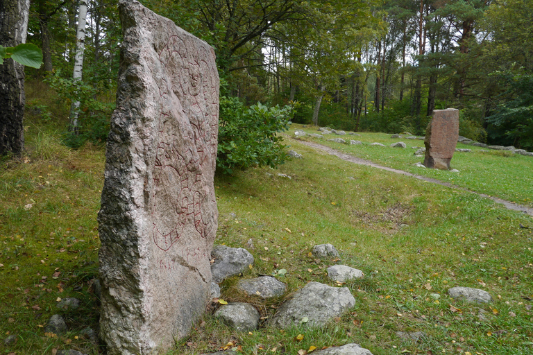 De Stockholm: visite en petit groupe de la culture et du patrimoine viking