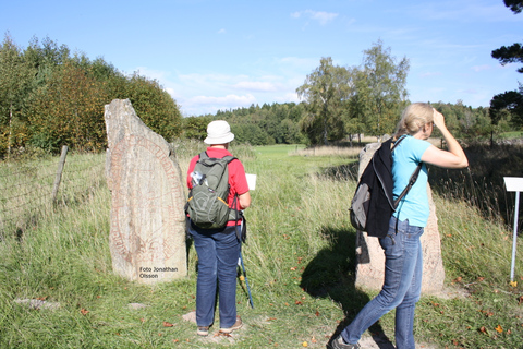 De Stockholm: visite en petit groupe de la culture et du patrimoine viking