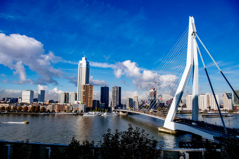 Port of Rotterdam in 1 Day: Walking Tour with Digital Guide Group Ticket (3-6 persons) Port of Rotterdam