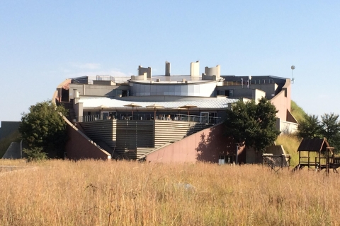 Desde Jo'burg: Lion Park & Cradle of Humankind with Lunch