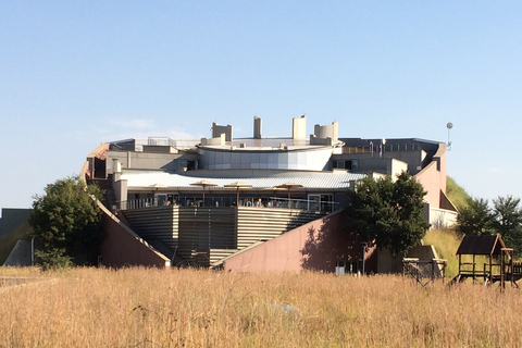 Från Johannesburg: Mänsklighetens vagga och lejonsafariFrån Johannesburg: Cradle of Humankind och Lion Safari