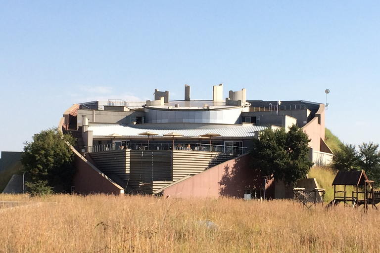 De Jo'burg: parc aux lions et berceau de l'humanité avec déjeuner