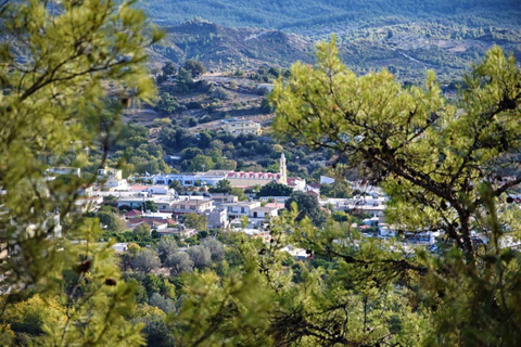 Rhodes Highlights: Kallithea, Kameiros & Mountain Villages