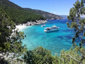 Da Cefalonia: crociera in barca a Itaca con nuotata