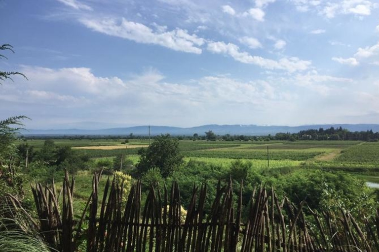 Kahketi Excursión de un día con cata de vinos y almuerzo