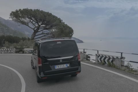 Positano to/from Rome Transfer with Optional Pompeii Stop