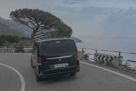 Positano: Transfer Privado de/para Roma e Ruínas de Pompeia