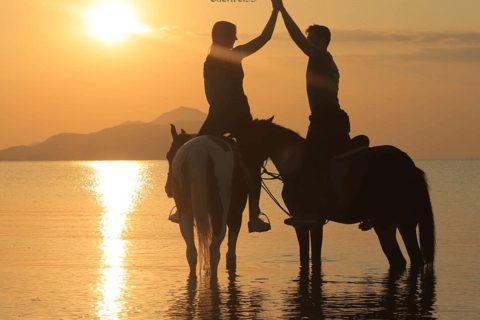 Sharm El Shiekh: Beach and Desert Horse Riding Tour