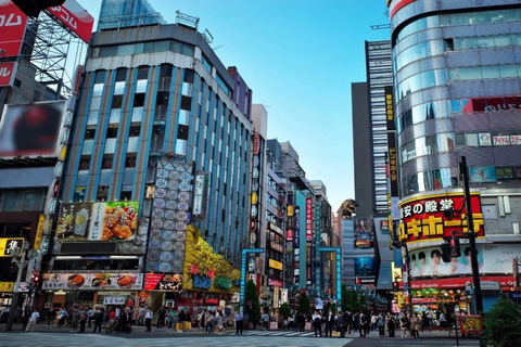 Tokyo: Private 1-Day Tour with English-Driver, Customizable