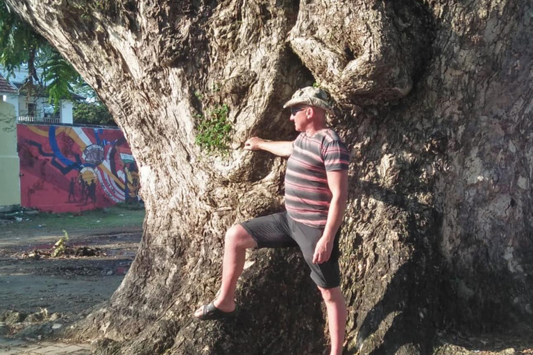 فورت كوتشي: جولات توك توك كوتشي - بأسعار مناسبة