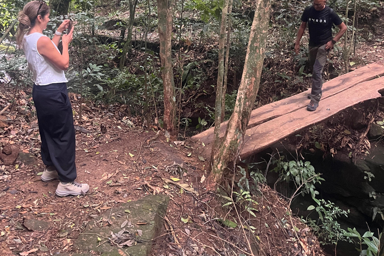 Rio de Janeiro: Christ the Redeemer Forest Hike